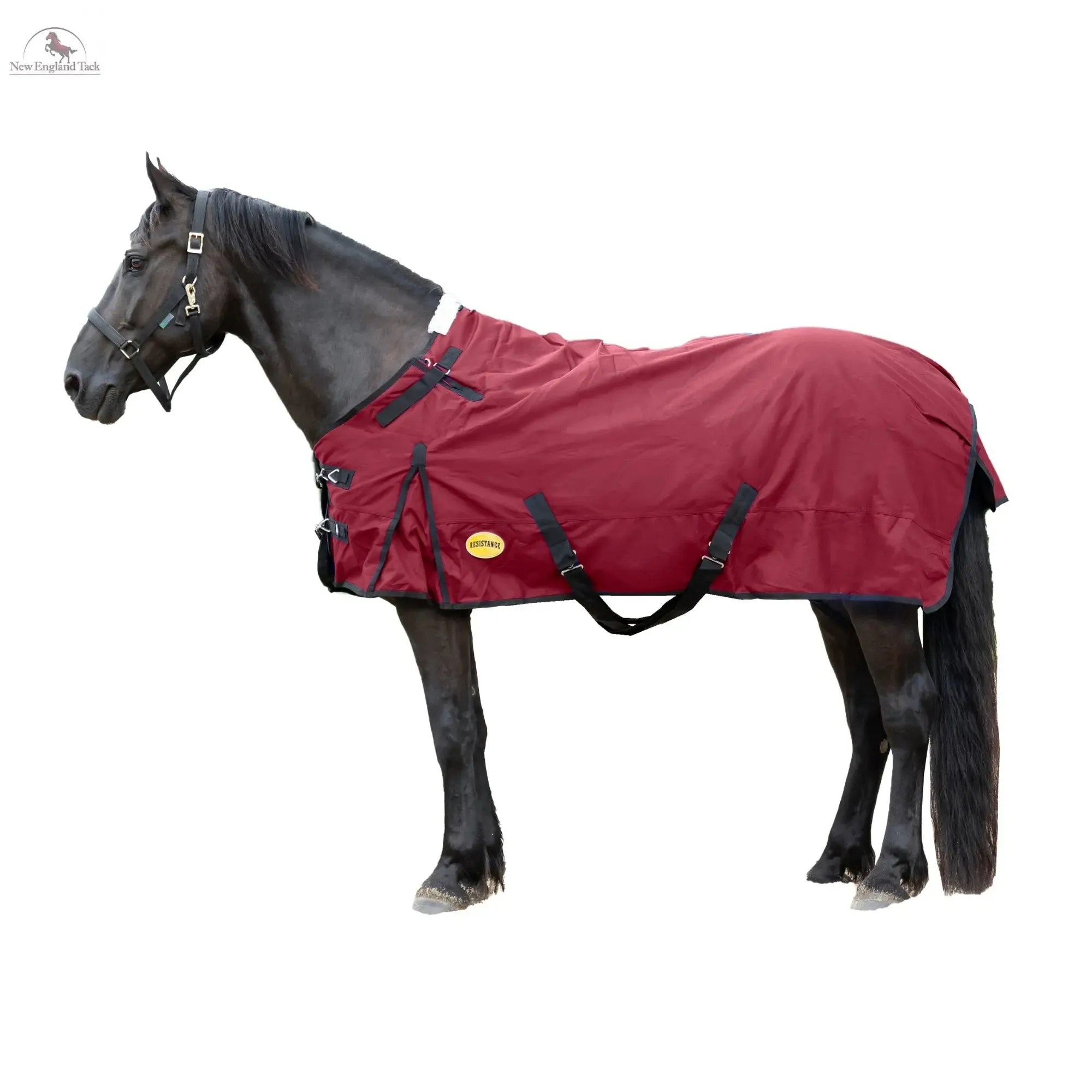 Resistance Premium 1680 Denier Waterproof Horse Turnout Blanket - 300 Grams Fill