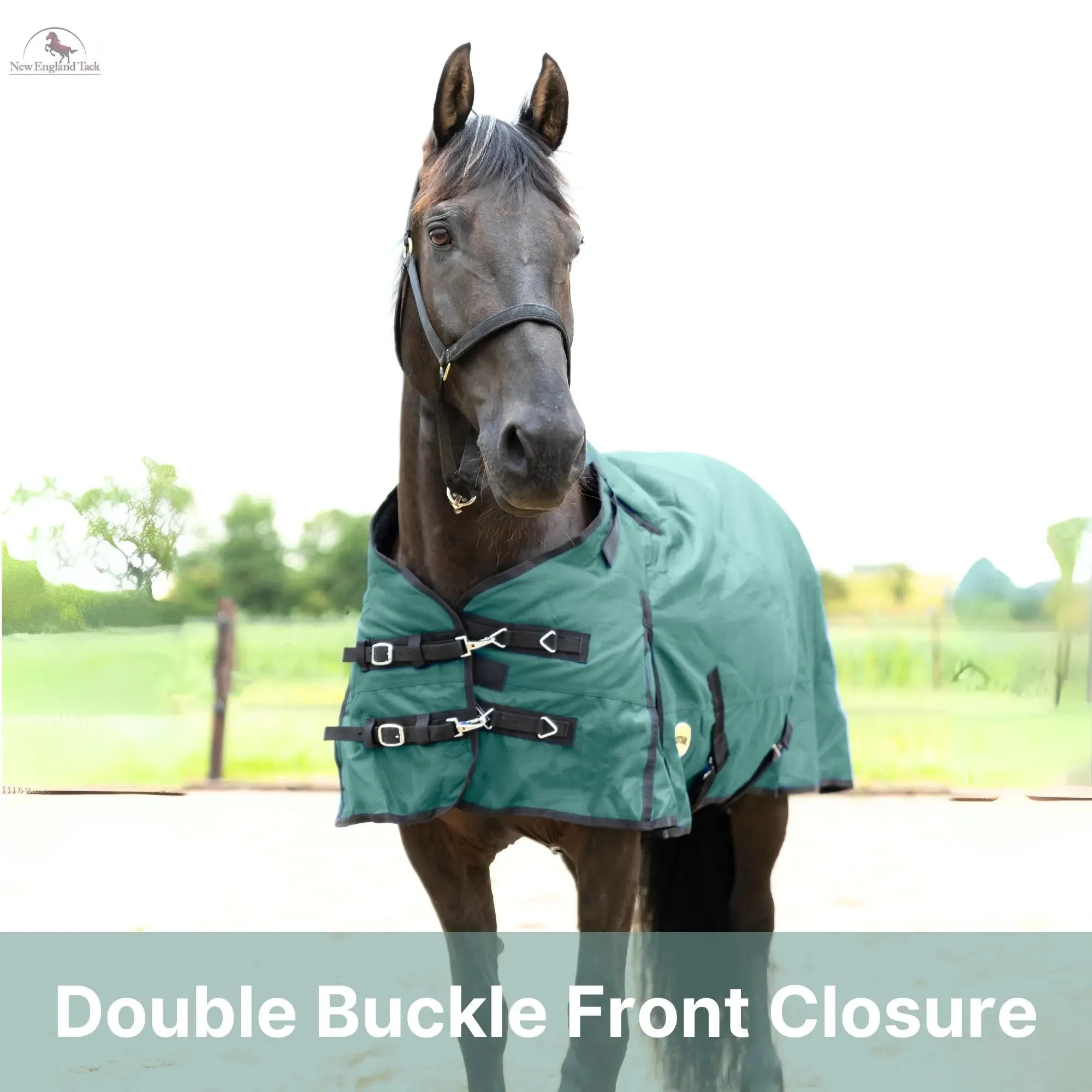 Resistance Premium 1680 Denier Waterproof Horse Turnout Blanket - 300 Grams Fill