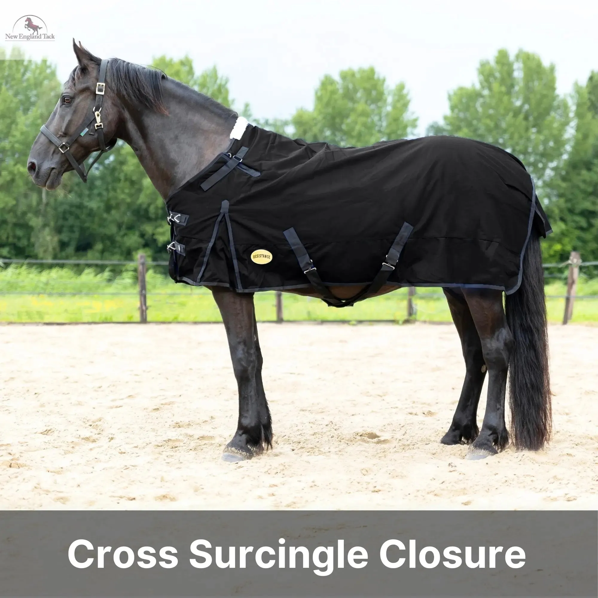 Resistance Premium 1680 Denier Waterproof Horse Turnout Blanket - 300 Grams Fill